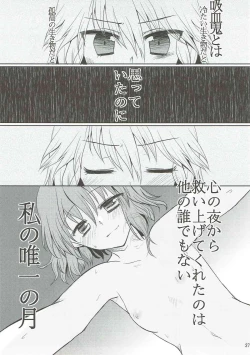 Page 28 of Luna Dial