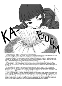 Page 17 of Koko wa Hime-sama no Toile desu