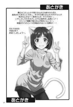 Page 21 of Majime ga Nekonyan! Sono 2