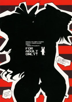 Page 2 of Hakurei Fright Night