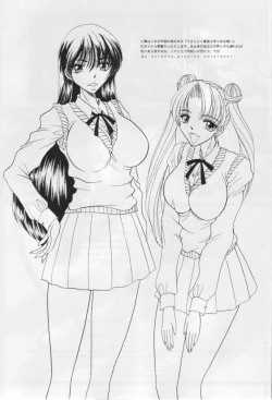 Page 24 of Sailor Moon Illustration Collection 7.5