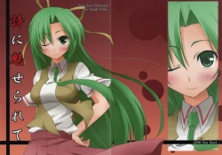 Page 23 of Shi ni Miserarete