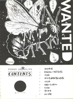 Page 3 of Power Derolian