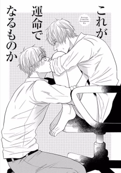 Page 7 of Hajimete wa Mechakucha Hageshii