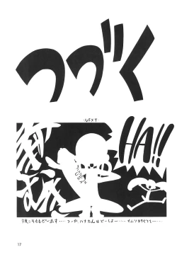 Page 17 of Segawa & Segawa