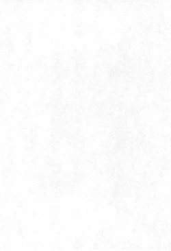 Page 3 of Loli wa Jinrui no Shihou Tsuuka Ore no Mirai!! 3