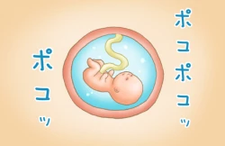 Page 25 of C.C. ga Ushiro kara Mae kara Yarareteru!