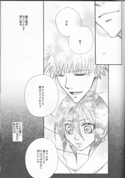 Page 17 of Sputnik Introduction