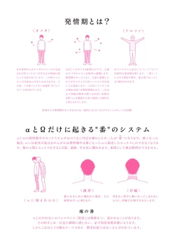 Page 7 of Nyaa to Nakukara Aishiteyo