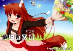 Page 1 of Ookami to Yoi no Sakana