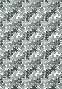 Page 3 of Pirka Ruanpe