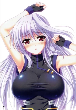 Page 17 of EINS FULLCOLOR ILLUSTRATIONS