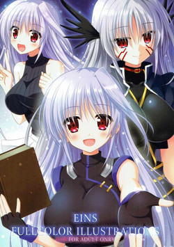 Download EINS FULLCOLOR ILLUSTRATIONS