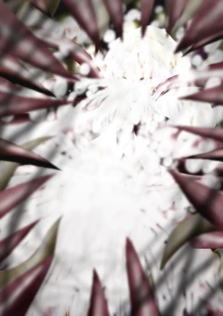 Page 187 of Fushigi SekaiNonona 34