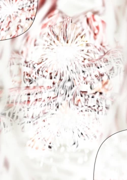 Page 215 of Fushigi SekaiNonona 34