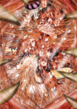 Page 230 of Fushigi SekaiNonona 34