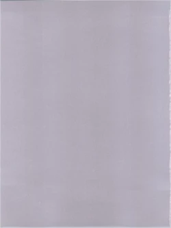 Page 49 of MisaOnly 2