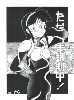 Page 46 of SAMPLE Vol. 4