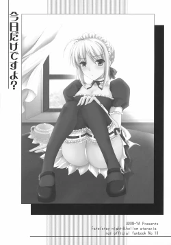 Page 2 of Kyou Dake Desuyo?