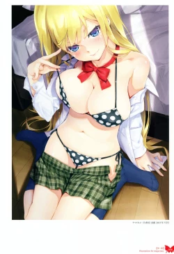 Page 11 of Happoubi Jin Gashuu Hoteri