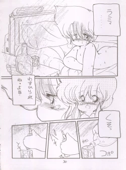 Page 29 of X DIGITALver.1,75