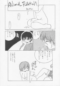 Page 30 of SEXCEED ver. 2.0