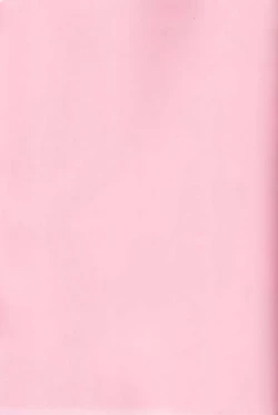 Page 4 of Mahou Shoujo Saimin PakopaCause