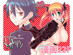 [Wagamama Dou (Syowmaru, NIO)] Megatsun [Digital]