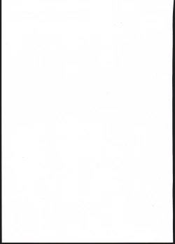 Page 11 of Harvin Seitai Chousa Kiroku File. 2