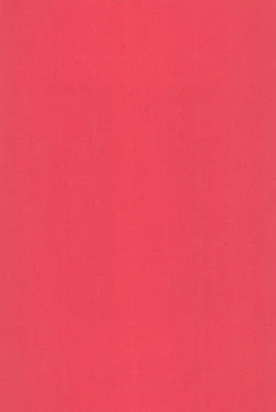 Page 41 of Koudou Gayoi