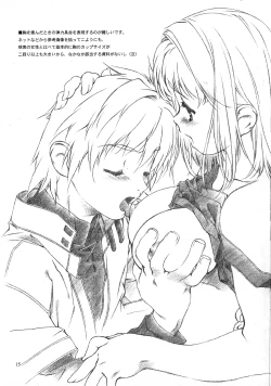 Page 14 of Materialize II