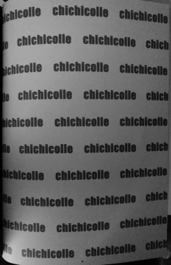 Page 3 of Chichicolle