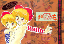 (C45) [Team Plus-Y (Haniwa Pao)] Himeko to Himegoto (Hime-chan's Ribbon)