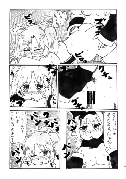 Page 29 of LRIG Kenkyuu Nisshi 2017 Harugou