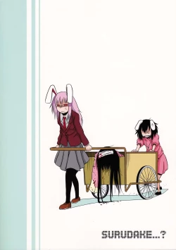 Page 29 of SURUDAKE San.