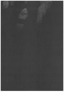 Page 36 of Sorako no Tabi 8