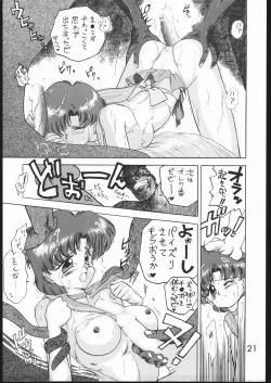 Page 20 of Submission Mercury Plus