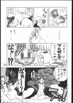 Page 24 of Submission Mercury Plus