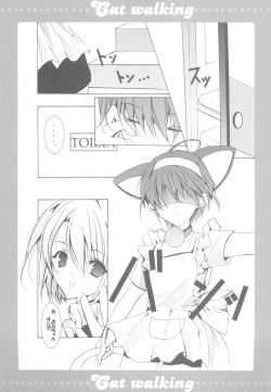 Page 12 of Cat walking