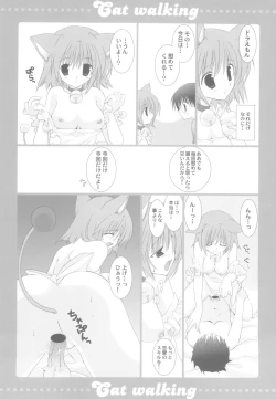 Page 9 of Cat walking