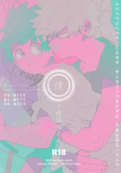 Page 1 of My ideal future