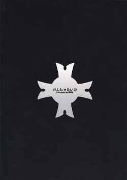 Page 30 of Fate/Gentle Order