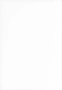 Page 2 of RURIMIX SP2