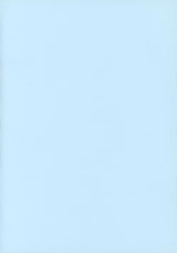 Page 3 of RURIMIX SP8