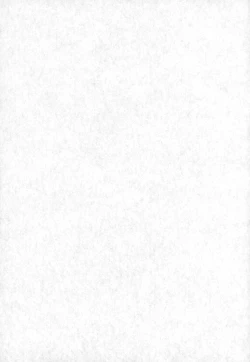 Page 2 of RURIMIX SP11