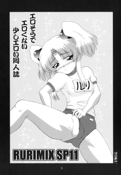 Page 4 of RURIMIX SP11