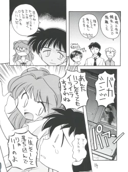 Page 14 of Shinseiki Evangelion Te Yuuka Omedetou Muumin