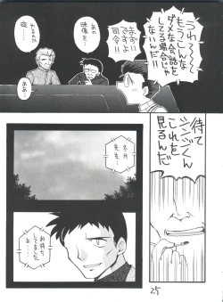 Page 25 of Shinseiki Evangelion Te Yuuka Omedetou Muumin