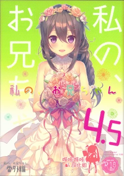 Page 1 of Watashi no, Onii-chan 4.5 Bangaihen