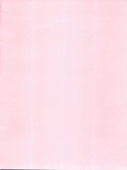 Page 2 of Momo no Kanzume